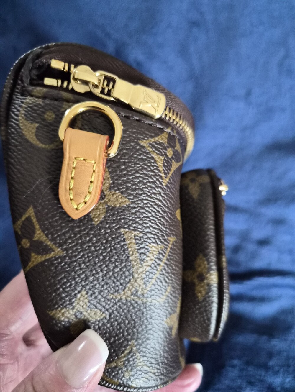 Louis Vuitton Monogram Canvas Mini Bum Belt Bag - Picture 5 of 16